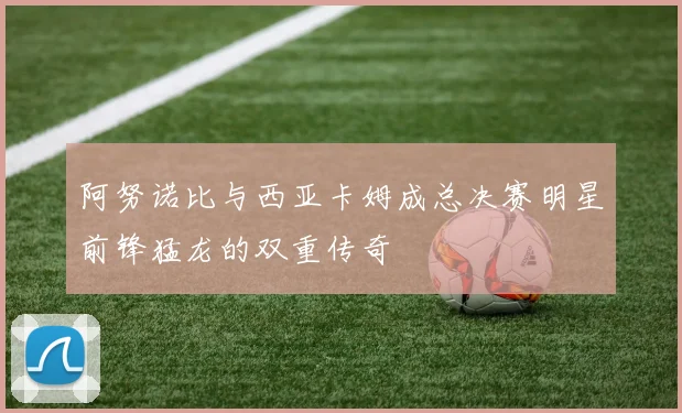 阿努诺比与西亚卡姆成总决赛明星前锋猛龙的双重传奇
